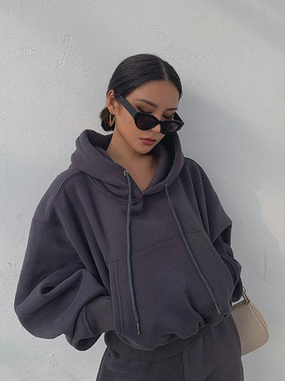 Hoodies Suit Winter Spring Solid Casual Tracksuit Women Fleece 2 Pieces Set Sports Sweatshirts Pullover Sweatpants Wholesale