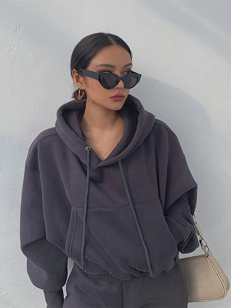 Hoodies Suit Winter Spring Solid Casual Tracksuit Women Fleece 2 Pieces Set Sports Sweatshirts Pullover Sweatpants Wholesale