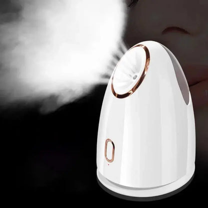 Home Portable Hot Spray Face Steamer