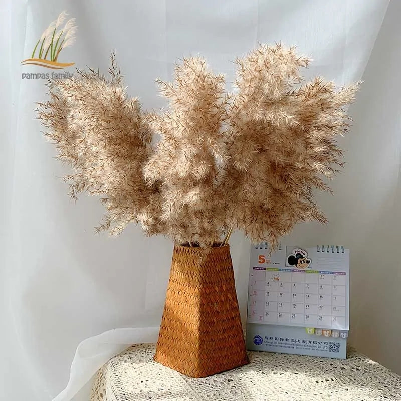 Dry pampas grass feather duster