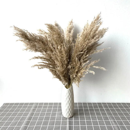 Dry pampas grass feather duster