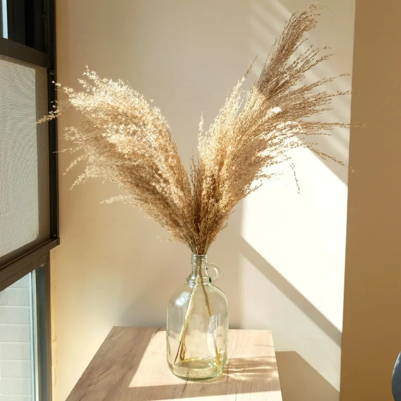 Dry pampas grass feather duster