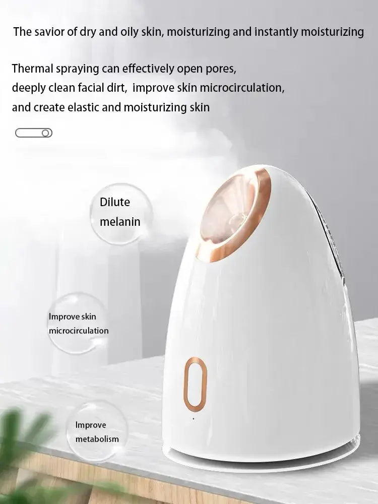 Home Portable Hot Spray Face Steamer