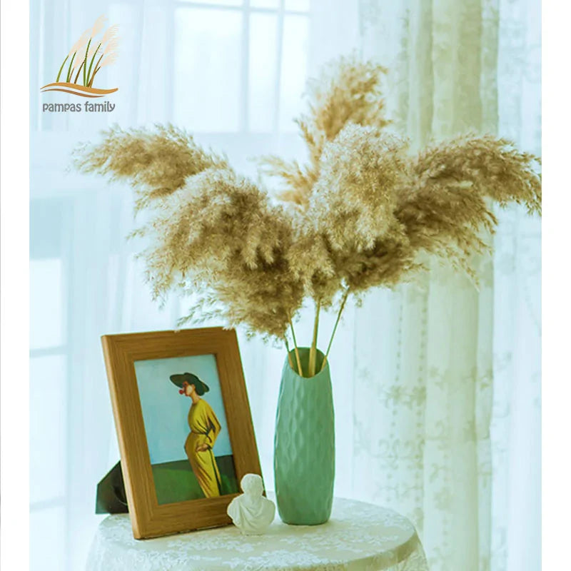 Dry pampas grass feather duster