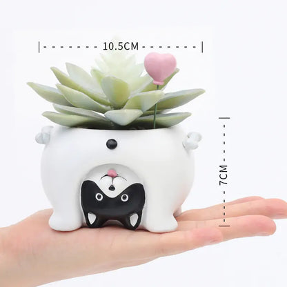 Cartoon Animal Planters